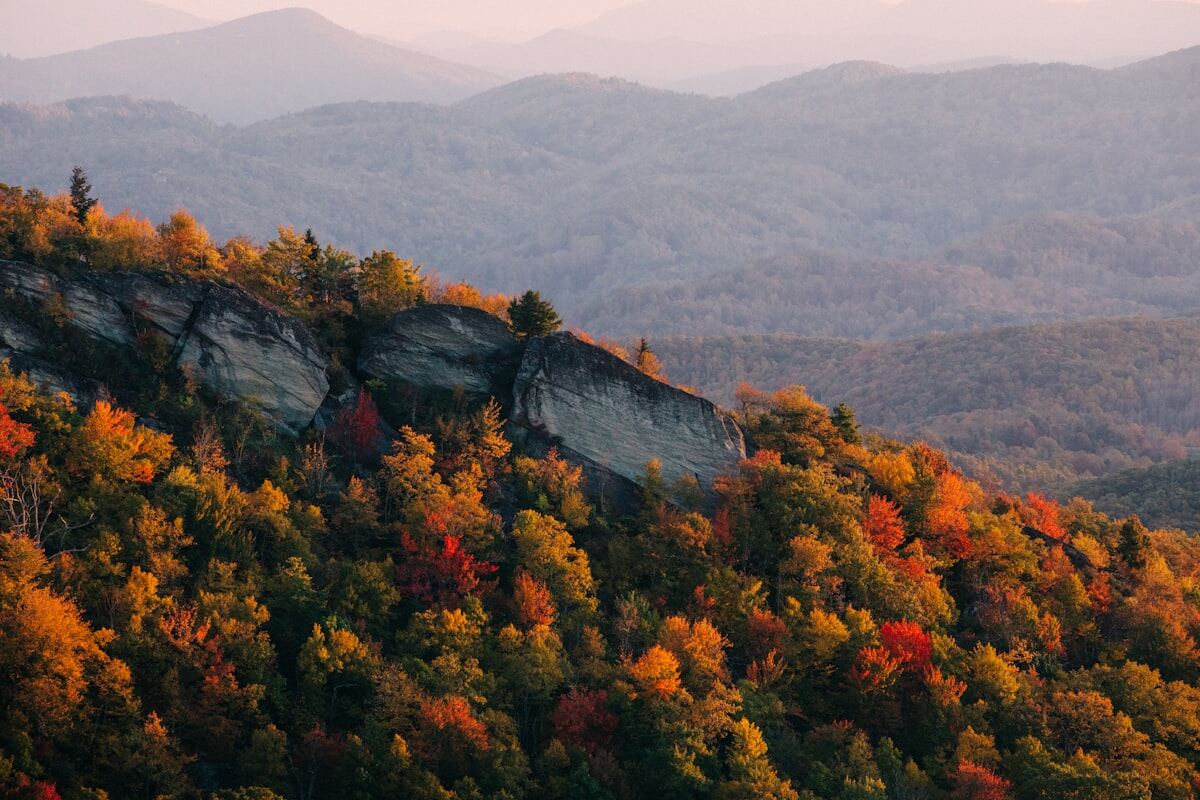 Barnardsville